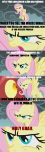 Rating: Safe Score: 0 Tags: absurd_res comic cutie_mark dragon e621 english_text equid equine feathered_wings feathers female feral fluttershy_(mlp) friendship_is_magic hasbro hi_res male mammal my_little_pony mythological_creature mythological_equine mythological_scalie mythology pegasus scalie tail text unknown_artist wings yellow_body yellow_feathers User: bunchy7s
