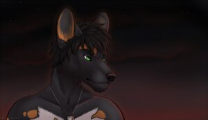 Rating: Safe Score: 0 Tags: 2012 african_wild_dog anthro artist_name black_body black_hair bust_portrait canid canine cashen clothed clothing countershading dated digital_media_(artwork) dog_tags e621 fog gradient_background green_eyes hair jewelry looking_away male mammal metal necklace portrait shaded simple_background soft_shading solo sunset text topless white_body white_countershading wyla year User: bunchy7s