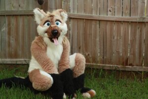 Rating: Safe Score: 0 Tags: 3:2 anthro backyard blue_eyes bone canid canine canis clothing costume domestic_dog e621 fence fursuit grandfathered_content looking_at_viewer male mammal real solo tail tongue unknown_artist User: bunchy7s