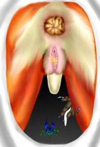 Rating: Explicit Score: 0 Tags: anthro anus archangelofdeath blue_claws bodily_fluids canid canine claws crotch_shot crowning_feces dark_claws digital_media_(artwork) e621 feces feces_in_ass female female_peeing female_pooping finger_claws fox fur genital_fluids genitals low-angle_view mammal multicolored_body multicolored_fur object_in_ass orange_body orange_fur peeing pink_vulva pooping scatplay simple_background solo toilet urine vulva watersports white_body white_fur User: bunchy7s