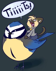 Rating: Safe Score: 0 Tags: ambiguous_gender anthro avian bell bell_collar bird blue_body blue_feathers briskby collar derp_eyes domestic_cat duo e621 english_text eurasian_blue_tit feathers felid feline felis humor innuendo mammal oscine passerine pun riding siamese_cat simple_background straddling tail text tit_(bird) yelling yellow_body yellow_feathers User: bunchy7s Rating: Safe Score: 0 Tags: ambiguous_gender anthro avian bell bell_collar bird blue_body blue_feathers briskby collar derp_eyes domestic_cat duo e621 english_text eurasian_blue_tit feathers felid feline felis humor innuendo mammal oscine passerine pun riding siamese_cat simple_background straddling tail text tit_(bird) yelling yellow_body yellow_feathers User: bunchy7s