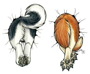 Rating: Safe Score: 0 Tags: 2010 4_toes black_body black_fur butt canid canine canis claws conditional_dnp domestic_dog duo e621 feet feral fur husky male mammal nordic_sled_dog nude orange_body orange_fur pawpads paws raised_tail rear_view simple_background spitz tail tail_between_legs tani_da_real toes white_background white_body white_fur User: bunchy7s Rating: Safe Score: 0 Tags: 2010 4_toes black_body black_fur butt canid canine canis claws conditional_dnp domestic_dog duo e621 feet feral fur husky male mammal nordic_sled_dog nude orange_body orange_fur pawpads paws raised_tail rear_view simple_background spitz tail tail_between_legs tani_da_real toes white_background white_body white_fur User: bunchy7s
