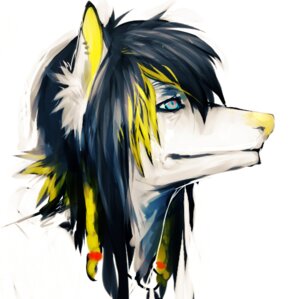 Rating: Safe Score: 0 Tags: blue_eyes canid canine canis domestic_dog e621 female hair long_hair mammal piercing simple_background solo taxonomie white_background User: bunchy7s