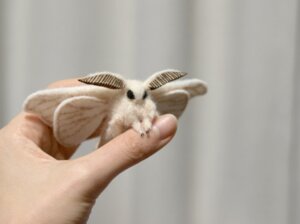 Rating: Safe Score: 0 Tags: ambiguous_gender antennae_(anatomy) arthropod black_eyes crochet daww disembodied_hand domestic_silk_moth duo e621 felt feral fluffy grandfathered_content hakoiri_croquis human insect insect_wings lepidopteran low_res mammal moth nails real simple_background solo_focus wings yarn User: bunchy7s
