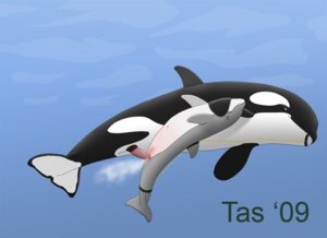 Rating: Explicit Score: 0 Tags: anal anal_penetration animal_genitalia animal_penis aquatic bodily_fluids cetacean cetacean_genitalia cetacean_penis cool_colors cum cum_in_ass cum_inside cumshot dolphin dominant duo e621 ejaculation erection female female_penetrated feral fully/fully_submerged fully_submerged genital_fluids genitals larger_dom larger_male male male/female male_penetrating male_penetrating_female mammal oceanic_dolphin orca orgasm penetration penis sex sex_in_water size_difference smaller_female smaller_penetrated tapering_penis tasuric toothed_whale underwater underwater_sex vulva water water_clouding User: bunchy7s