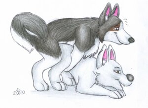 Rating: Explicit Score: 0 Tags: all_fours anal anal_penetration bolt_(bolt) bolt_(film) canid canine canis disney doggystyle domestic_dog duo e621 feral feral_on_feral from_behind_position german_shepherd herding_dog low_res male male/male male_penetrated male_penetrating male_penetrating_male mammal pastoral_dog penetration quadruped sex simple_background tail white_background zoophilic User: bunchy7s