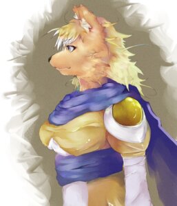 Rating: Safe Score: 0 Tags: alef_(shining) anthro canid canine cloak clothing dress e621 fangs female fox half-length_portrait mammal portrait sega shining_(sega) shining_force sindoll solo teeth User: bunchy7s