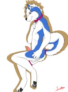 Rating: Explicit Score: 0 Tags: 1boy 2010 balls blue canine collar ear_piercing earring male male_only nude penis piercing rule34 solo swizzlestix User: bunchy7s
