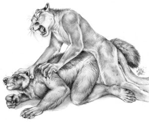 Rating: Explicit Score: 0 Tags: 2011 5_toes all_fours anal anal_penetration anthro blood blotch bodily_fluids butt claws clenched_teeth cougar doggystyle duo e621 eyes_closed feet felid feline finger_claws from_behind_position fur greyscale gulonine looking_back male male/male male_penetrated male_penetrating male_penetrating_male mammal monochrome mustelid musteline open_mouth pain penetration scratches_volume_5 sex simple_background tail teeth toe_claws toes traditional_media_(artwork) whiskers white_background wolverine User: bunchy7s
