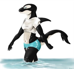 Rating: Safe Score: 0 Tags: anthro aquatic black_body black_skin blue_eyes bottomwear breasts cetacean clothing detailed_background dolphin e621 female fin glistening hairless legs_in_water mammal multicolored_body multicolored_skin oceanic_dolphin orca outside partially_submerged sea seascape shirt shorts simple_background sky solo submerged_legs summer toothed_whale topwear treefyleaves two_tone_body two_tone_skin walking water wet white_background User: bunchy7s