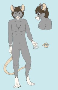 Rating: Safe Score: 0 Tags: anthro e621 fur green_background hi_res male mammal model_sheet mouse murid murine nude rat rodent side_view simple_background solo thand thandryus unknown_artist User: bunchy7s Rating: Safe Score: 0 Tags: anthro e621 fur green_background hi_res male mammal model_sheet mouse murid murine nude rat rodent side_view simple_background solo thand thandryus unknown_artist User: bunchy7s