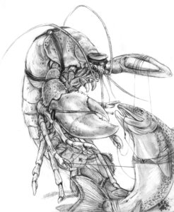 Rating: Questionable Score: 0 Tags: 2010 air_drowning ambiguous_gender anthro aquatic arthropod bdsm blotch bondage bound clothing crustacean decapod duo e621 fish hat headgear headwear hi_res lobster malacostracan monochrome scratches_volume_4 simple_background traditional_media_(artwork) trout white_background User: bunchy7s Rating: Questionable Score: 0 Tags: 2010 air_drowning ambiguous_gender anthro aquatic arthropod bdsm blotch bondage bound clothing crustacean decapod duo e621 fish hat headgear headwear hi_res lobster malacostracan monochrome scratches_volume_4 simple_background traditional_media_(artwork) trout white_background User: bunchy7s