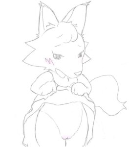 Rating: Explicit Score: 0 Tags: animal_crossing anthro blush bottomless canine female female_only looking_down mammal monochrome nintendo pussy rule34 shirt_lift sketch solo straight_hair tail uncensored white_fur whitney_(animal_crossing) wolf User: bunchy7s