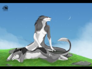 Rating: Safe Score: 0 Tags: anthro black_bars blue_eyes breasts cloud crescent_moon duo e621 female fog grass letterbox mammal moon natalie_(natalie_de_corsair) natalie_de_corsair nude outside plant red_eyes sergal sky smile star tail User: bunchy7s