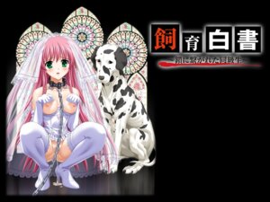 Rating: Explicit Score: 0 Tags: 800x600 aihara_sarina canine collar delta dress female femsub high_heels human leash peeing rule34 shiiku_hakusho shiiku_hakusho_-_kusari_ni_tsunagareta_doukyuusei shoes slave thighhighs wedding wedding_dress User: bunchy7s Rating: Explicit Score: 0 Tags: 800x600 aihara_sarina canine collar delta dress female femsub high_heels human leash peeing rule34 shiiku_hakusho shiiku_hakusho_-_kusari_ni_tsunagareta_doukyuusei shoes slave thighhighs wedding wedding_dress User: bunchy7s