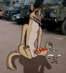 Rating: Explicit Score: 0 Tags: 1boy all_dogs_go_to_heaven canine canine_genitalia canine_penis charlie_barkin cum cumming dog don_bluth ejaculate ejaculation feral furry german_shepherd male male_only mammal masturbation penis rule34 semi-anthro solo tagme User: bunchy7s