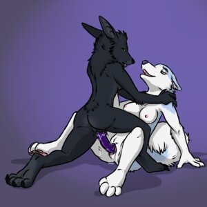 Rating: Explicit Score: 0 Tags: aggrobadger anthro breasts canine feeldo female fur furry insertion nude penetration pussy rule34 sex yuri User: bunchy7s