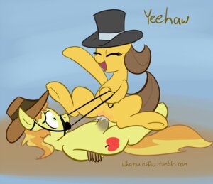 Rating: Explicit Score: 0 Tags: 2013 bdsm bit_gag bound braeburn_(mlp) bridle caramel_(mlp) clothing cowboy_hat cowgirl_position crossgender digital_media_(artwork) duo e621 earth_pony equid equine erection female female_on_top female_penetrated feral friendship_is_magic from_front_position gag gagged genitals green_eyes hasbro hat headgear headwear horse lying male male/female male_on_bottom male_penetrating male_penetrating_female mammal my_little_pony on_back on_bottom on_top open_mouth penetration penile penile_penetration penis penis_in_vagina petplay pony ponyplay rains reins roleplay sex simple_background straddling tail text url vaginal vaginal_penetration whatsapokemon User: bunchy7s