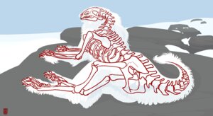 Rating: Safe Score: 0 Tags: 4_toes ambiguous_gender anatomy bone claws detailed_background e621 feet feral finger_claws fur hi_res mammal mick39 outside pelvis radiograph rain_silves realistic rib_cage sergal skeleton skull snow solo spine tail toe_claws toes white_body white_fur User: bunchy7s Rating: Safe Score: 0 Tags: 4_toes ambiguous_gender anatomy bone claws detailed_background e621 feet feral finger_claws fur hi_res mammal mick39 outside pelvis radiograph rain_silves realistic rib_cage sergal skeleton skull snow solo spine tail toe_claws toes white_body white_fur User: bunchy7s