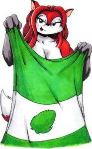 Rating: Safe Score: 0 Tags: anthro breasts canid canine cleavage clothed clothing drake_fenwick e621 female fox hair low_res mammal red_hair solo superhero supermegatopia the_tease towel User: bunchy7s