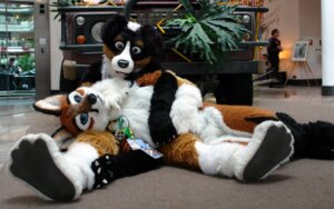 Rating: Safe Score: 0 Tags: 16:10 anthro blue_eyes brown_eyes canid canine canis claws clothing convention costume cuddling domestic_dog duo_focus e621 fox fursuit grandfathered_content group looking_at_viewer male mammal mixed_candy noodles_(noodle_soup) paws photography_(artwork) real scribblefox tongue widescreen User: bunchy7s