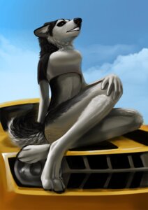 Rating: Safe Score: 0 Tags: anthro breasts canid canine canis car chevrolet chevrolet_camaro conditional_dnp digital_media_(artwork) domestic_dog e621 female husky mammal nordic_sled_dog on_hood paws royz solo spitz tail vehicle User: bunchy7s Rating: Safe Score: 0 Tags: anthro breasts canid canine canis car chevrolet chevrolet_camaro conditional_dnp digital_media_(artwork) domestic_dog e621 female husky mammal nordic_sled_dog on_hood paws royz solo spitz tail vehicle User: bunchy7s