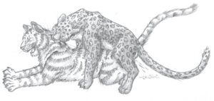 Rating: Explicit Score: 0 Tags: doggystyle duo e621 felid female female_penetrated feral feral_on_feral from_behind_position greyscale male male/female male_penetrating male_penetrating_female mammal monochrome pantherine penetration penile penile_penetration penis_in_vagina quadruped sex tail tiger unknown_artist vaginal vaginal_penetration User: bunchy7s Rating: Explicit Score: 0 Tags: doggystyle duo e621 felid female female_penetrated feral feral_on_feral from_behind_position greyscale male male/female male_penetrating male_penetrating_female mammal monochrome pantherine penetration penile penile_penetration penis_in_vagina quadruped sex tail tiger unknown_artist vaginal vaginal_penetration User: bunchy7s