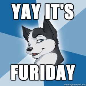 Rating: Safe Score: 0 Tags: 2010 blue_eyes canid canine canis caption doing_it_wrong domestic_dog e621 headshot_portrait humor husky low_res male mammal meme nordic_sled_dog portrait sibe smile solo spitz unknown_artist User: bunchy7s