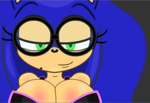 Rating: Safe Score: 0 Tags: 2013 anthro big_breasts blue_body blue_fur blue_hair breasts cleavage clothed clothing crossgender ctrl-z e621 enormous_(artist) eulipotyphlan eyewear female fur glasses green_eyes hair hedgehog huge_breasts long_hair looking_at_viewer mammal markings mole_(marking) mtf_crossgender sega smile solo sonic_the_hedgehog sonic_the_hedgehog_(series) User: bunchy7s