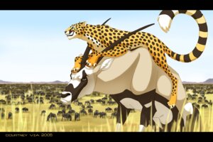Rating: Safe Score: 0 Tags: 2005 ambiguous_gender annoyed antelope black_bars bovid cheetah cloud e621 felid feline feral gemsbok grazing_antelope green_eyes group hellcorpceo herd hooves horn iban letterbox looking_at_viewer male mammal markings on_top oryx outside paws predator/prey ring_(marking) ringed_tail savanna size_difference sky spots striped_markings striped_tail stripes tail tail_markings toony User: bunchy7s