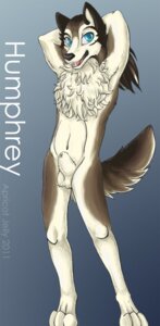 Rating: Explicit Score: 0 Tags: alpha_and_omega animal_genitalia anthro anthrofied apricot_jelly armpit_hair balls biped body_hair canid canine canis e621 fully_sheathed genitals hi_res humphrey_(alpha_and_omega) male mammal nude sheath solo standing tail wolf User: bunchy7s