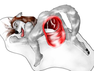 Rating: Explicit Score: 0 Tags: anthro anus bodily_fluids canid canine canis cum cum_inside e621 fur gaping genital_fluids grey_body grey_fur male mammal plantigrade roop_(the_roop) simple_background solo tail the_roop white_background wolf User: bunchy7s