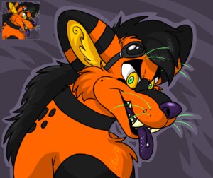 Rating: Safe Score: 0 Tags: anthro black_clothing black_hair black_headwear black_markings bust_portrait canid canine chest_tuft clothing digital_media_(artwork) e621 eyewear eyewear_on_head fur goggles goggles_on_head hair headgear headwear inner_ear_fluff kaku_q._spookaboo kakumatsurou looking_at_viewer male mammal markings orange_body orange_fur portrait purple_background purple_nose purple_tongue simple_background solo spookaboo_(species) textured_background tongue tongue_out tuft whiskers yellow_eyes User: bunchy7s