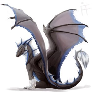 Rating: Safe Score: 0 Tags: 2011 alradeck ambiguous_gender belly blue_eyes blue_markings claws conditional_dnp digital_media_(artwork) dragon e621 feral fluffy frill_(anatomy) grey_body horn looking_at_viewer looking_back markings membrane_(anatomy) membranous_frill membranous_wings mythological_creature mythological_scalie mythology quadruped scalie simple_background sitting smile solo spines tail tail_frill tail_tuft tuft white_background white_belly wings User: bunchy7s