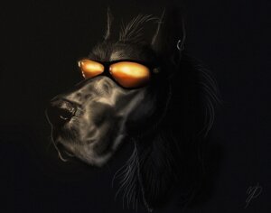 Rating: Safe Score: 0 Tags: 2009 ambiguous_gender black_background canid canine canis colored domestic_dog e621 ear_piercing eyewear great_dane headshot_portrait mammal mastiff molosser piercing portrait ralph_wrinkles rendovart serious simple_background solo sunglasses whiskers User: bunchy7s