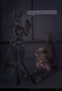 Rating: Explicit Score: 0 Tags: 2014 anthro balls bdsm breasts brun69 canid canine clothing collar dominant dominant_female duo e621 erection female genitals latex legwear looking_at_viewer male male/female mammal nude penis pink_penis punishment riding_crop scratches slave stack stockings submissive submissive_male text violence whip User: bunchy7s