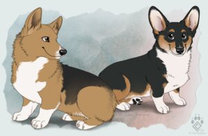 Rating: Safe Score: 0 Tags: 2013 4_toes ambiguous_gender black_body black_fur black_nose brown_body brown_eyes brown_fur canid canine canis claws digitigrade domestic_dog duo e621 feet feral fur herding_dog idess looking_at_another looking_back mammal nude pastoral_dog paws quadruped side_view signature simple_background smile tail tan_body tan_fur textured_background toes welsh_corgi white_body white_fur User: bunchy7s Rating: Safe Score: 0 Tags: 2013 4_toes ambiguous_gender black_body black_fur black_nose brown_body brown_eyes brown_fur canid canine canis claws digitigrade domestic_dog duo e621 feet feral fur herding_dog idess looking_at_another looking_back mammal nude pastoral_dog paws quadruped side_view signature simple_background smile tail tan_body tan_fur textured_background toes welsh_corgi white_body white_fur User: bunchy7s