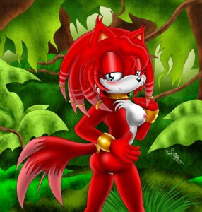 Rating: Explicit Score: 0 Tags: 2012 anthro bigdon1992 blackrosewriter blush breasts butt canid canine e621 echidna fan_character female fluffy fluffy_tail fox genitals hybrid kako looking_at_viewer mammal monotreme nipples nude sega smile solo sonic_the_hedgehog_(series) tail vulva User: bunchy7s