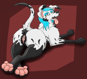 Rating: Explicit Score: 0 Tags: 2012 anus canid canine canis clitoris conditional_dnp dalmatian domestic_dog e621 female feral fur genitals looking_back lying mammal on_front pawpads presenting psy101 raised_tail simple_background solo splash_(psy101) tail vulva white_body white_fur User: bunchy7s