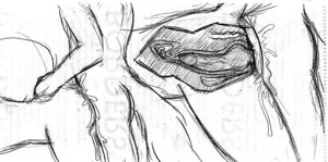 Rating: Explicit Score: 0 Tags: ambiguous_species anthro bodily_fluids cum cum_drip cum_in_vagina cum_inside dripping duo e621 erection female female_penetrated from_behind_position genital_fluids genitals internal knot knotting male male/female male_penetrating male_penetrating_female mammal mathias_blackwolf messy monochrome nude penetration penile penile_penetration penis penis_in_vagina sex side_view tail tail_grab vaginal vaginal_knotting vaginal_penetration vulva young young_anthro User: bunchy7s Rating: Explicit Score: 0 Tags: ambiguous_species anthro bodily_fluids cum cum_drip cum_in_vagina cum_inside dripping duo e621 erection female female_penetrated from_behind_position genital_fluids genitals internal knot knotting male male/female male_penetrating male_penetrating_female mammal mathias_blackwolf messy monochrome nude penetration penile penile_penetration penis penis_in_vagina sex side_view tail tail_grab vaginal vaginal_knotting vaginal_penetration vulva young young_anthro User: bunchy7s