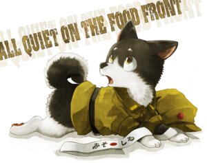 Rating: Safe Score: 0 Tags: atamoto canid canine canis clothing domestic_dog e621 feral male mammal quadruped simple_background solo tail uniform white_background young young_feral young_male User: bunchy7s