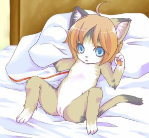 Rating: Explicit Score: 0 Tags: anthro bed biped blonde_hair blue_eyes domestic_cat e621 felid feline felis female furniture genitals hair kurogitsune loli lying mammal on_back paws pillow pose short_hair solo tail vulva young young_anthro young_female User: bunchy7s Rating: Explicit Score: 0 Tags: anthro bed biped blonde_hair blue_eyes domestic_cat e621 felid feline felis female furniture genitals hair kurogitsune loli lying mammal on_back paws pillow pose short_hair solo tail vulva young young_anthro young_female User: bunchy7s