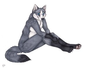 Rating: Safe Score: 0 Tags: 4_toes 5_fingers anthro biped black_nose blue_eyes canid canine canis digitigrade dipstick_tail e621 feet fingers fur gloves_(marking) grey_body grey_fur hand_on_leg hands_together korrok leg_markings looking_aside looking_at_viewer male mammal markings multicolored_tail nude paws plantigrade side_view simple_background sitting socks_(marking) solo tail tail_markings takoda_(takoda84) toes white_background white_body white_fur wolf User: bunchy7s