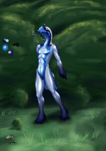 Rating: Safe Score: 0 Tags: antennae_(anatomy) anthro aquatic aquatic_gastropod biped detailed_background e621 forest full-length_portrait gastropod hi_res kampfisken male mollusk nature outside plant portrait sea_slug slime slug snail solo standing tree wood User: bunchy7s