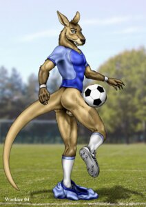 Rating: Explicit Score: 0 Tags: 2004 anthro athletic athletic_anthro athletic_male backsack ball balls biped bottomless bottomwear bottomwear_down butt claws cleats clothed clothing cloud detailed_background e621 footwear fur genitals kangaroo legwear long_tail looking_at_viewer macropod male mammal marsupial outside pants pants_down partially_clothed shorts sky soccer soccer_ball socks solo sport standing tail undressing wooky User: bunchy7s
