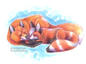 Rating: Safe Score: 0 Tags: 2010 ailurid ambiguous_gender black_ears canid canine duo e621 eyes_closed fennec_fox feral fox hybrid mammal red_panda shikoku_(artist) sleeping tail traditional_media_(artwork) true_fox User: bunchy7s