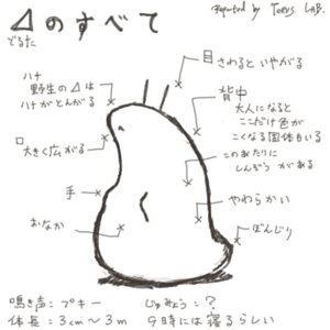 Rating: Safe Score: 0 Tags: 1:1 ambiguous_gender anatomy asimofu black_and_white delta_(milia_wars) e621 echidna_wars_dx feral gastropod japanese japanese_text low_res milia_wars mollusk monochrome simple_background slug solo text translated what white_background User: bunchy7s