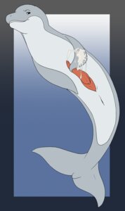 Rating: Explicit Score: 0 Tags: animal_genitalia animal_penis aquatic bodily_fluids cetacean cetacean_genitalia cetacean_penis cum cumshot dolphin e621 ejaculation erection feral flippers genital_fluids genitals holly_marie_ogburn male mammal masturbation messy oceanic_dolphin orgasm penile penile_masturbation penis solo tapering_penis toothed_whale User: bunchy7s