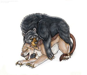 Rating: Explicit Score: 0 Tags: banka bear duo e621 felid female feral interspecies lion male mammal pantherine simple_background tail white_background User: bunchy7s