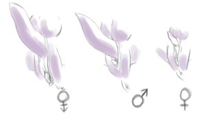 Rating: Explicit Score: 0 Tags: 2009 ambiguous_gender anatomy_reference anthro anus balls ceranid close-up disembodied_balls disembodied_penis disembodied_slit disembodied_vulva e621 erection female female_symbol gender_symbol genital_close-up genital_focus genitals greyscale group herm herm_symbol intersex intersex_symbol male male_symbol maleherm mammal marsupial monochrome penis rudethefox shaded simple_background sketch soft_shading symbol trio vulva white_background User: bunchy7s Rating: Explicit Score: 0 Tags: 2009 ambiguous_gender anatomy_reference anthro anus balls ceranid close-up disembodied_balls disembodied_penis disembodied_slit disembodied_vulva e621 erection female female_symbol gender_symbol genital_close-up genital_focus genitals greyscale group herm herm_symbol intersex intersex_symbol male male_symbol maleherm mammal marsupial monochrome penis rudethefox shaded simple_background sketch soft_shading symbol trio vulva white_background User: bunchy7s